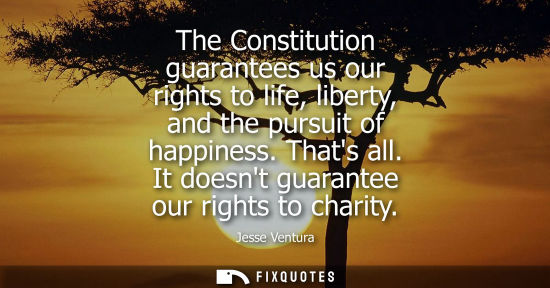 Small: The Constitution guarantees us our rights to life, liberty, and the pursuit of happiness. Thats all. It