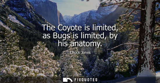 Small: The Coyote is limited, as Bugs is limited, by his anatomy