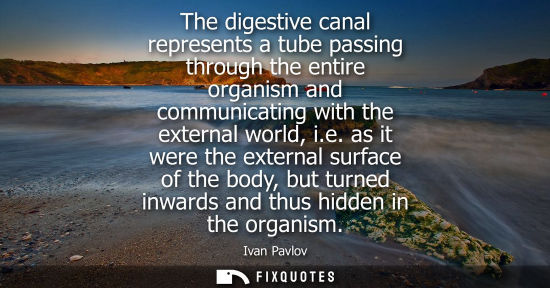 Small: The digestive canal represents a tube passing through the entire organism and communicating with the ex
