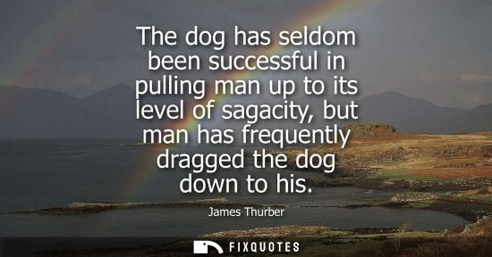Small: The dog has seldom been successful in pulling man up to its level of sagacity, but man has frequently d