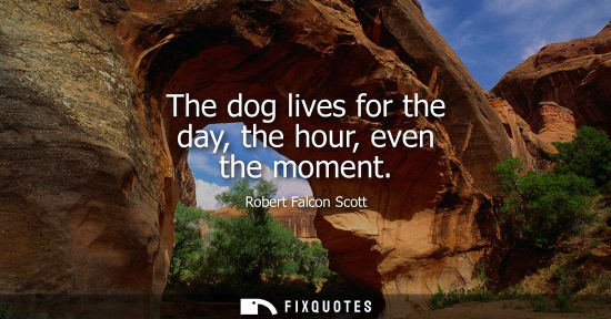 Small: The dog lives for the day, the hour, even the moment