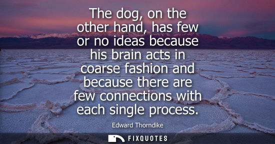 Small: The dog, on the other hand, has few or no ideas because his brain acts in coarse fashion and because th