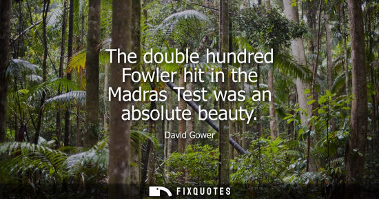 Small: The double hundred Fowler hit in the Madras Test was an absolute beauty