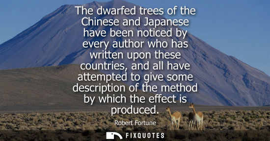 Small: The dwarfed trees of the Chinese and Japanese have been noticed by every author who has written upon th