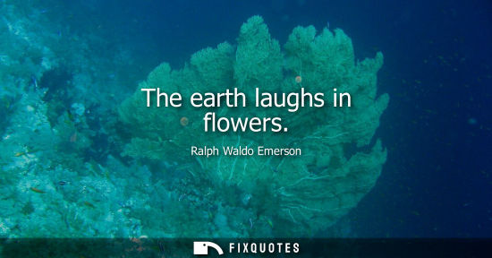 Small: The earth laughs in flowers
