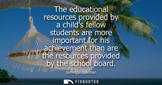 Small: The educational resources provided by a childs fellow students are more important for his achievement t