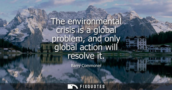 Small: The environmental crisis is a global problem, and only global action will resolve it
