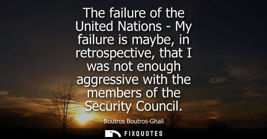 Small: The failure of the United Nations - My failure is maybe, in retrospective, that I was not enough aggres