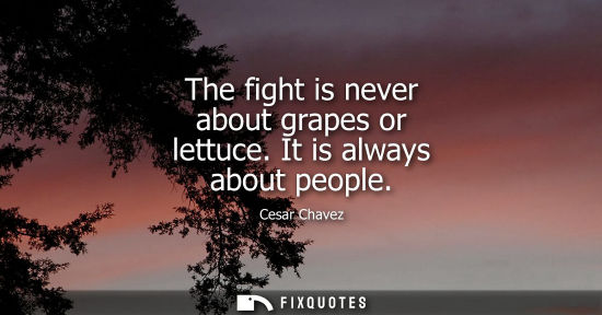 Small: The fight is never about grapes or lettuce. It is always about people