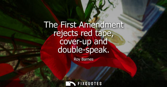 Small: The First Amendment rejects red tape, cover-up and double-speak