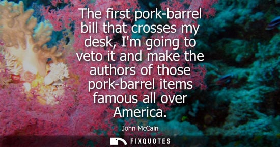 Small: The first pork-barrel bill that crosses my desk, Im going to veto it and make the authors of those pork