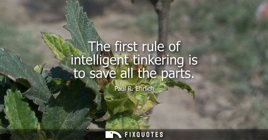 Small: The first rule of intelligent tinkering is to save all the parts