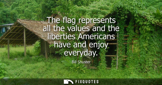 Small: The flag represents all the values and the liberties Americans have and enjoy everyday