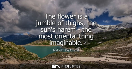 Small: The flower is a jumble of thighs, the suns harem - the most oriental thing imaginable
