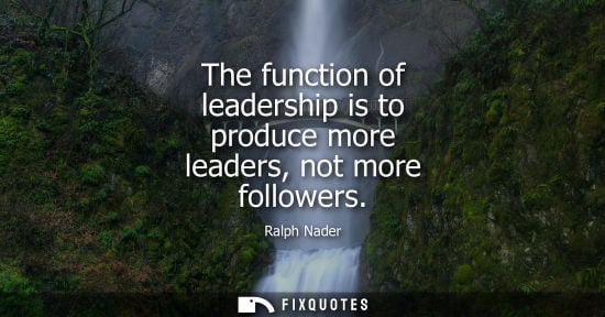 Small: The function of leadership is to produce more leaders, not more followers - Ralph Nader