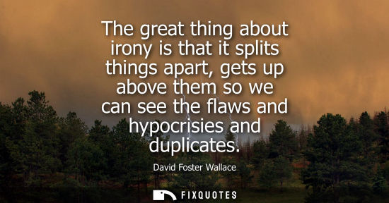 Small: The great thing about irony is that it splits things apart, gets up above them so we can see the flaws 