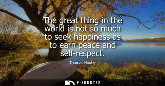 Small: The great thing in the world is not so much to seek happiness as to earn peace and self-respect