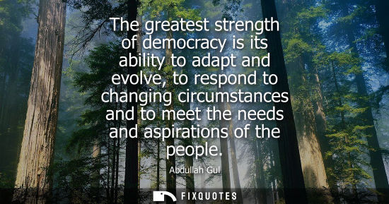Small: The greatest strength of democracy is its ability to adapt and evolve, to respond to changing circumsta