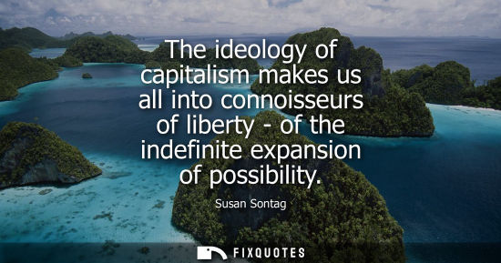 Small: The ideology of capitalism makes us all into connoisseurs of liberty - of the indefinite expansion of p