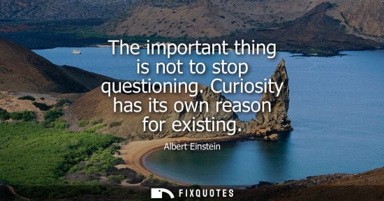 Small: The important thing is not to stop questioning. Curiosity has its own reason for existing - Albert Einstein