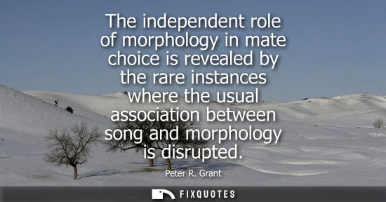 Small: The independent role of morphology in mate choice is revealed by the rare instances where the usual ass