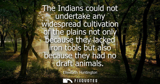 Small: The Indians could not undertake any widespread cultivation of the plains not only because they lacked i