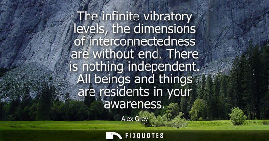 Small: The infinite vibratory levels, the dimensions of interconnectedness are without end. There is nothing i
