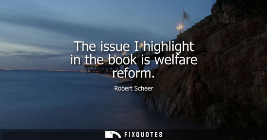 Small: The issue I highlight in the book is welfare reform
