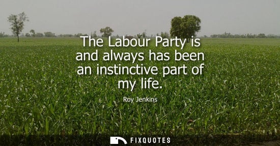 Small: The Labour Party is and always has been an instinctive part of my life