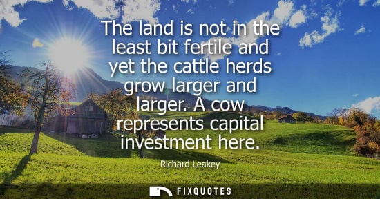 Small: The land is not in the least bit fertile and yet the cattle herds grow larger and larger. A cow represents cap