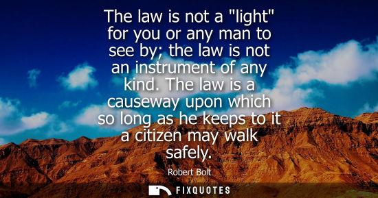 Small: The law is not a light for you or any man to see by the law is not an instrument of any kind. The law i