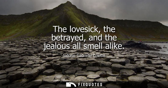 Small: The lovesick, the betrayed, and the jealous all smell alike