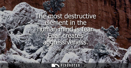Small: The most destructive element in the human mind is fear. Fear creates aggressiveness