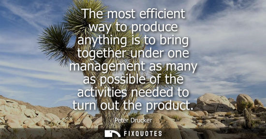 Small: The most efficient way to produce anything is to bring together under one management as many as possibl