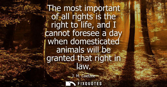 Small: The most important of all rights is the right to life, and I cannot foresee a day when domesticated ani