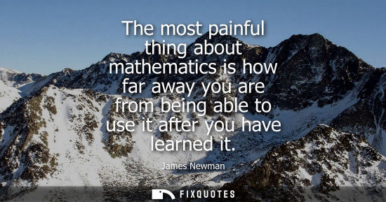 Small: The most painful thing about mathematics is how far away you are from being able to use it after you ha