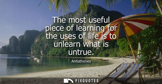 Small: The most useful piece of learning for the uses of life is to unlearn what is untrue