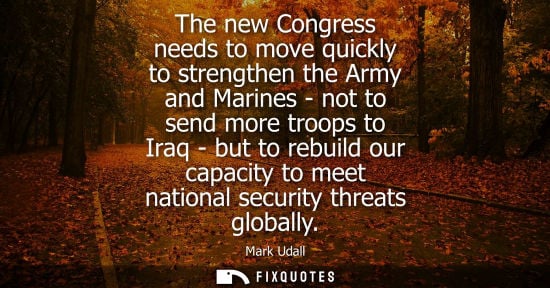 Small: The new Congress needs to move quickly to strengthen the Army and Marines - not to send more troops to 