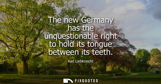 Small: The new Germany has the unquestionable right to hold its tongue between its teeth