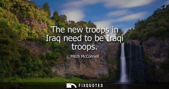Small: The new troops in Iraq need to be Iraqi troops