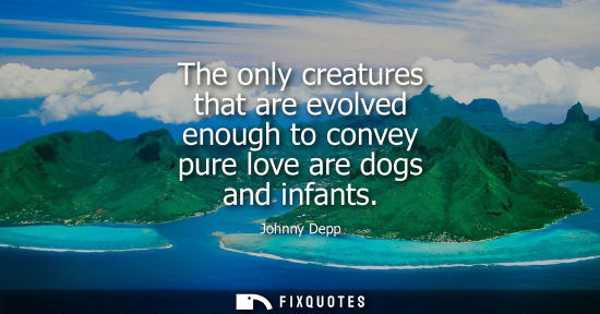 Small: The only creatures that are evolved enough to convey pure love are dogs and infants