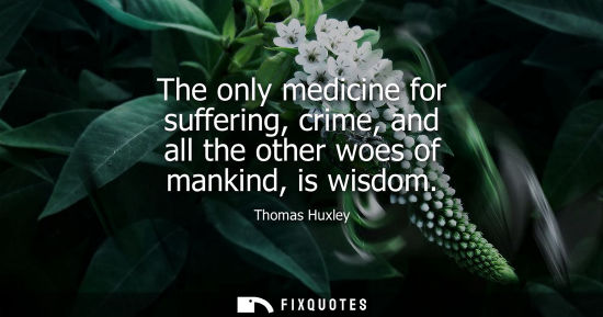 Small: The only medicine for suffering, crime, and all the other woes of mankind, is wisdom
