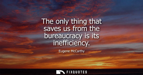 Small: The only thing that saves us from the bureaucracy is its inefficiency