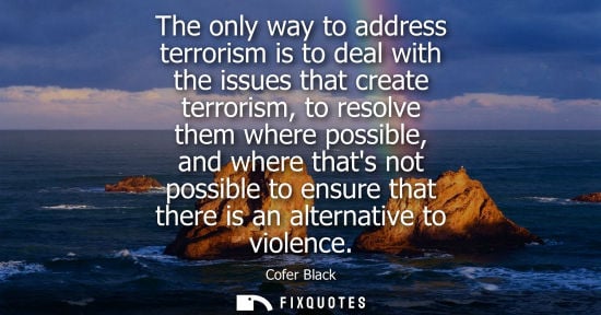Small: The only way to address terrorism is to deal with the issues that create terrorism, to resolve them whe