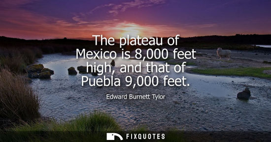 Small: The plateau of Mexico is 8,000 feet high, and that of Puebla 9,000 feet
