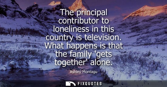 Small: The principal contributor to loneliness in this country is television. What happens is that the family 