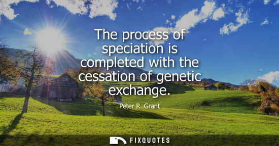 Small: The process of speciation is completed with the cessation of genetic exchange