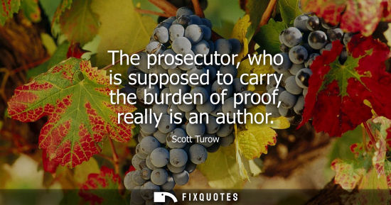 Small: The prosecutor, who is supposed to carry the burden of proof, really is an author