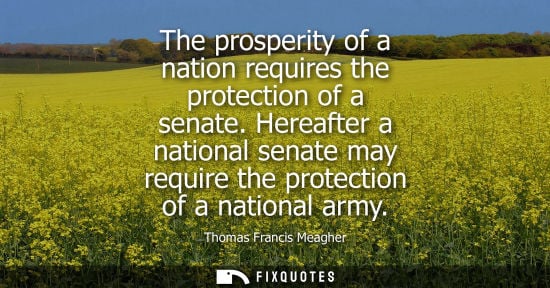 Small: The prosperity of a nation requires the protection of a senate. Hereafter a national senate may require