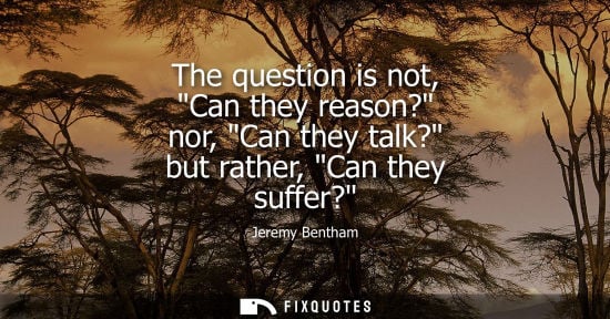 Small: The question is not, Can they reason? nor, Can they talk? but rather, Can they suffer? - Jeremy Bentham